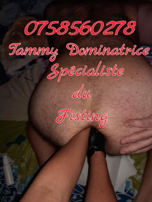 Tammy Trans