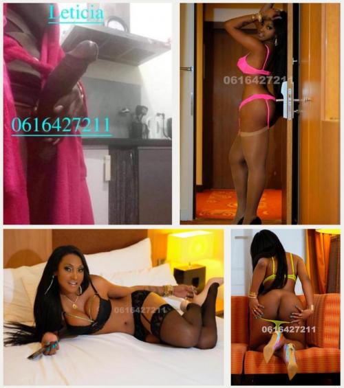 REINE DU SUD 0758100474