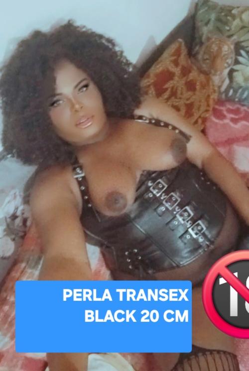 PERLA TRANSEX
